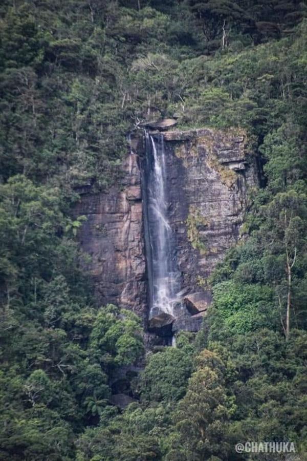 The Paulwood Home Cabin Nuwara Eliya Zewnętrze zdjęcie