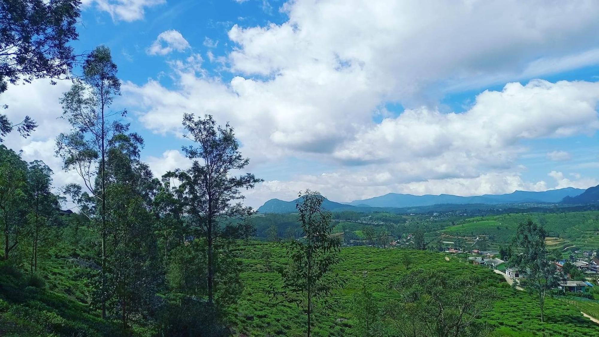 The Paulwood Home Cabin Nuwara Eliya Zewnętrze zdjęcie